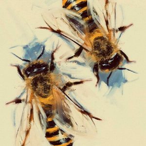 Bees - Digital Illustration