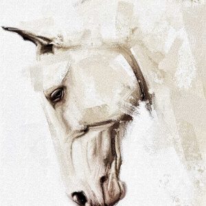 Horse - Digital Illustration